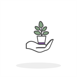 Hand holding a plant carefully